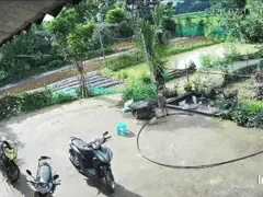 Đọc nhanh bài viết 1185813