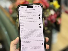 Đọc nhanh bài viết 1185824