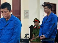 Đọc nhanh bài viết 1185955