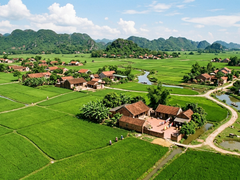 Đọc nhanh bài viết 1186141