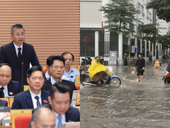 Đọc nhanh bài viết 1186147