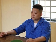 Đọc nhanh bài viết 1186242