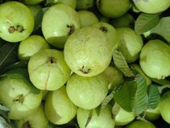 Đọc nhanh bài viết 1186399