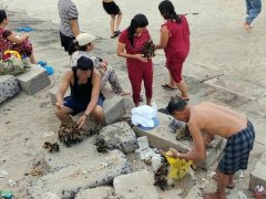 Đọc nhanh bài viết 1186506