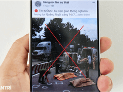 Đọc nhanh bài viết 1186645
