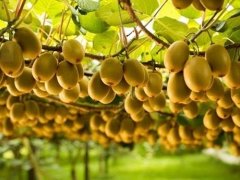 Đọc nhanh bài viết 1186676