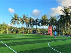 Đọc nhanh bài viết 1186785