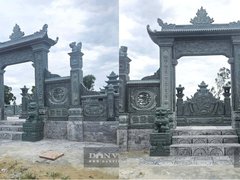 Đọc nhanh bài viết 1186818