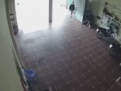 Đọc nhanh bài viết 1186847