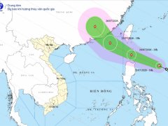 Đọc nhanh bài viết 1187031