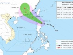 Đọc nhanh bài viết 1187134