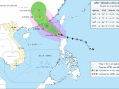 Đọc nhanh bài viết 1187158