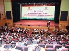 Đọc nhanh bài viết 1187219