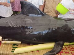 Đọc nhanh bài viết 1187561