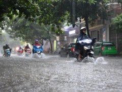 Đọc nhanh bài viết 1187584