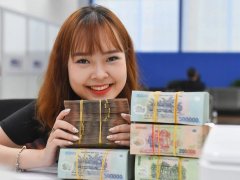 Đọc nhanh bài viết 1187611
