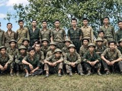Đọc nhanh bài viết 1187693