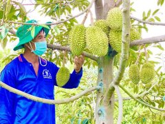 Đọc nhanh bài viết 1187987
