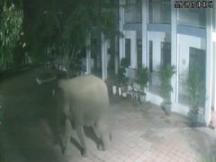 Đọc nhanh bài viết 1188070