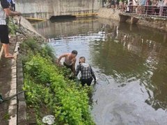 Đọc nhanh bài viết 1188106
