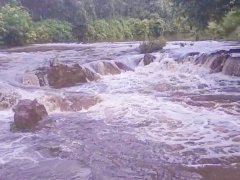Đọc nhanh bài viết 1188272