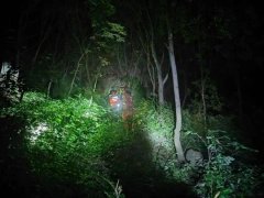Đọc nhanh bài viết 1188301