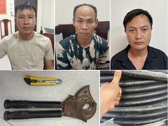 Đọc nhanh bài viết 1188355