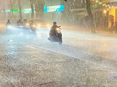 Đọc nhanh bài viết 1188376