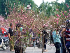 Đọc nhanh bài viết 1188431