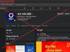 Đọc nhanh bài viết 1188530
