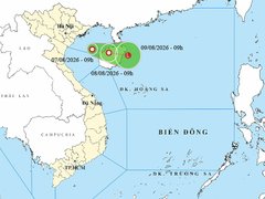 Đọc nhanh bài viết 1188664