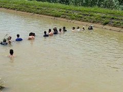 Đọc nhanh bài viết 1189090