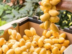 Đọc nhanh bài viết 1189180