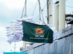 Đọc nhanh bài viết 1189206