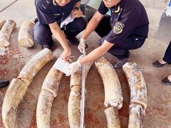 Đọc nhanh bài viết 1189300