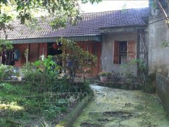 Đọc nhanh bài viết 1189359