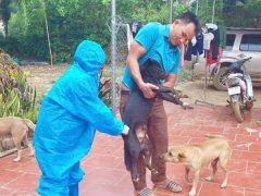 Đọc nhanh bài viết 1189616