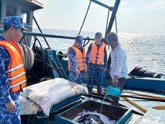 Đọc nhanh bài viết 1189619