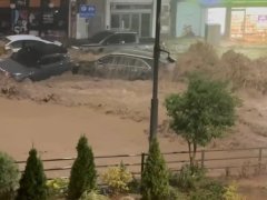 Đọc nhanh bài viết 1189714