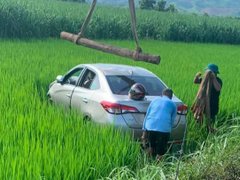 Đọc nhanh bài viết 1189728