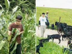 Đọc nhanh bài viết 1189759