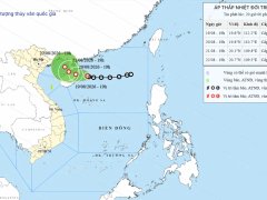 Đọc nhanh bài viết 1189960