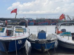 Đọc nhanh bài viết 1190229