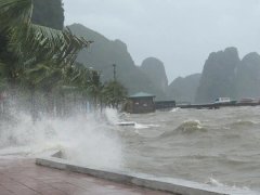 Đọc nhanh bài viết 1190298