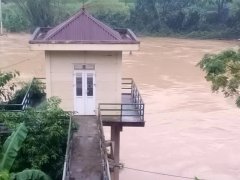 Đọc nhanh bài viết 1190373