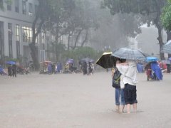 Đọc nhanh bài viết 1190376