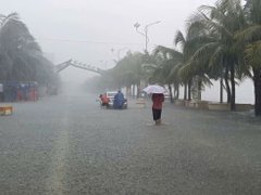 Đọc nhanh bài viết 1190489