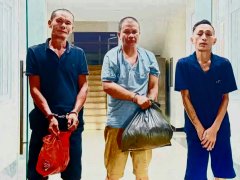 Đọc nhanh bài viết 1190508