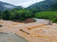 Đọc nhanh bài viết 1190543