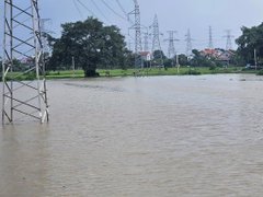 Đọc nhanh bài viết 1190557